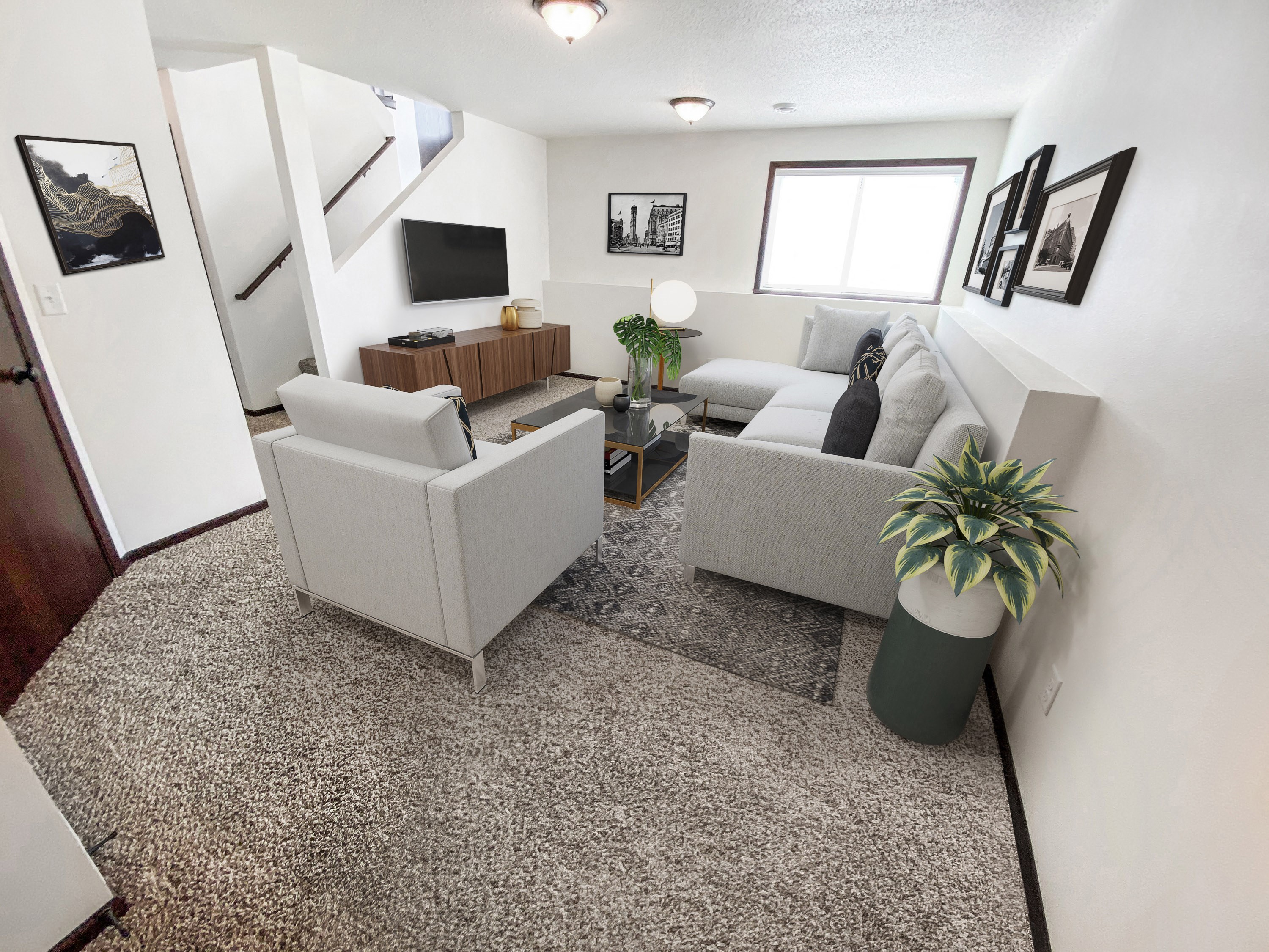 Lower level living room